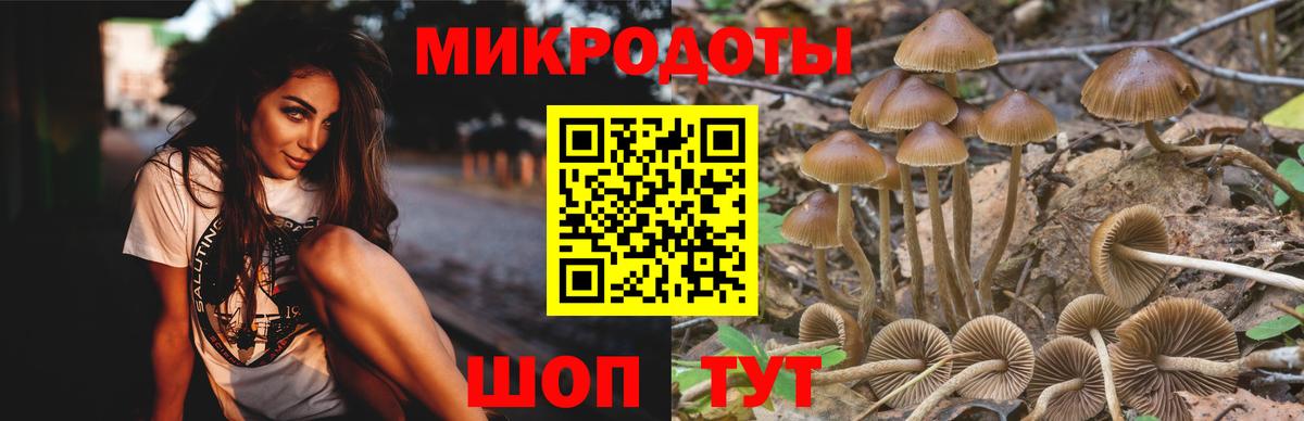 Галлюциногенные грибы Psilocybine cubensis  Вход с VPN  что такое наркотик  Кировск 